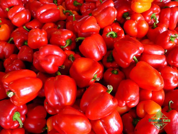 assorted red bell pepper price in global market