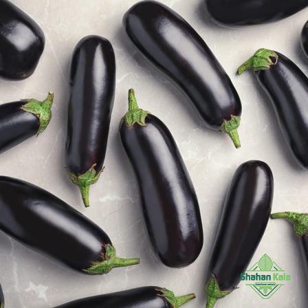 Order eggplant at a wholesale price per kg