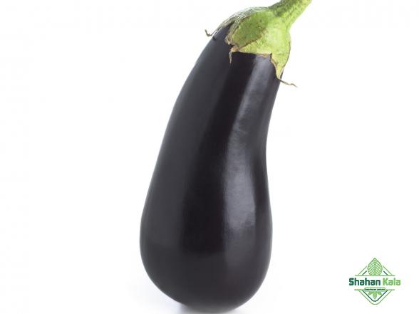 Effective elements on eggplant price per kg