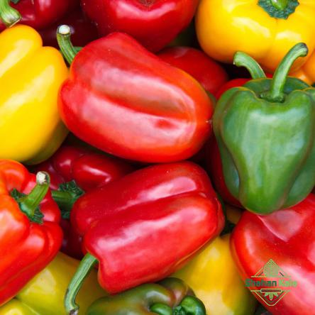 Best types of bell pepper and their prices