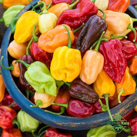 Organic bell pepper price per kg from certified wholesaler