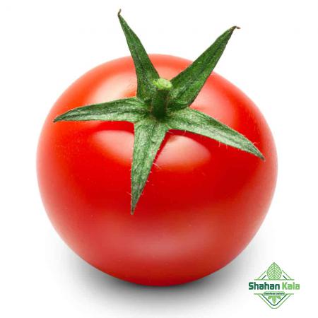 What is the wholesale price of tomatoes today?