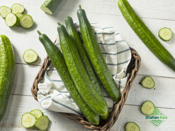 what effects on today greenhouse grown cucumber price